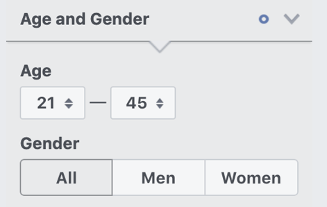 age and gender segment of audience insights with all ages selected and ages 21 through 45 selected